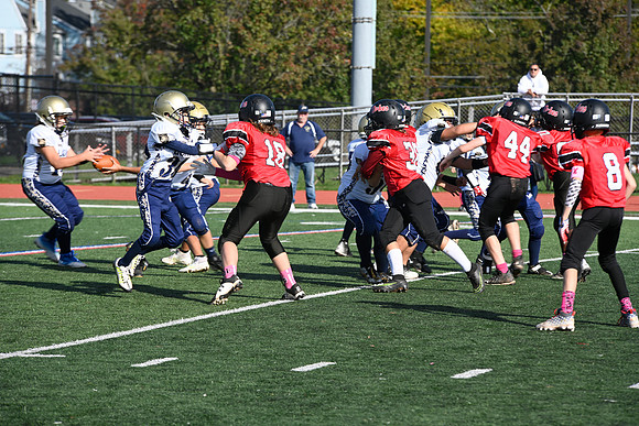 _DSC1538