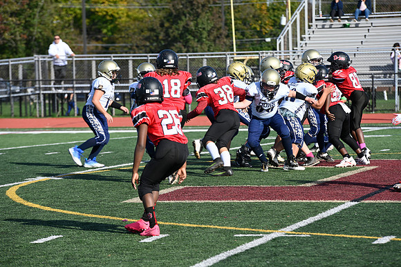 _DSC1553