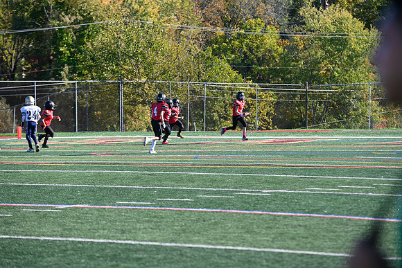 _DSC1841