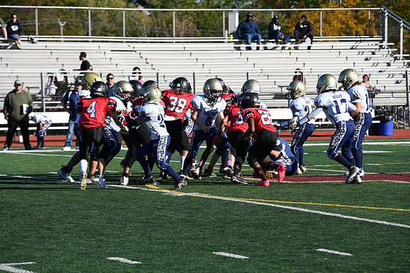 _DSC1944