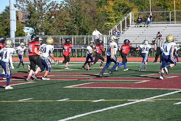 _DSC2015