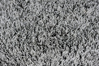 _JKL0020