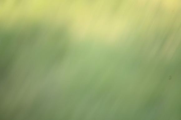 _JKL7702