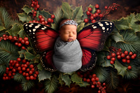 Christmas butterfies 230007 sell-1