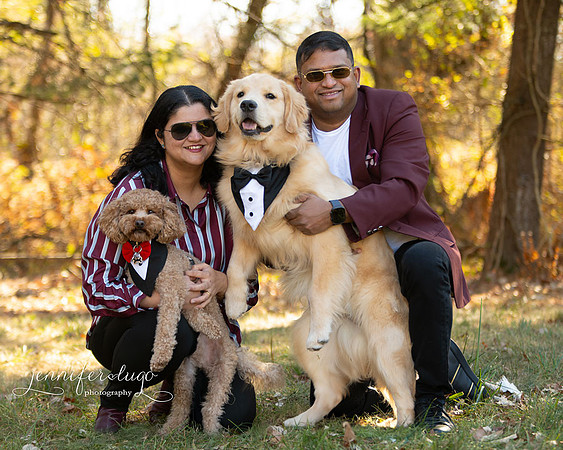 fb-dogs2_JKL0318-copy
